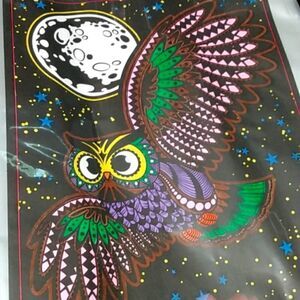 Poster of an owl